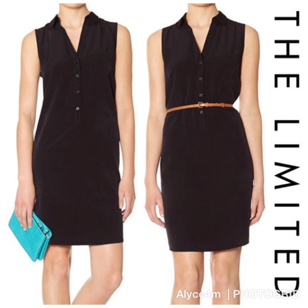 🌸 The Limited Ashton Shirtdress 🌸
